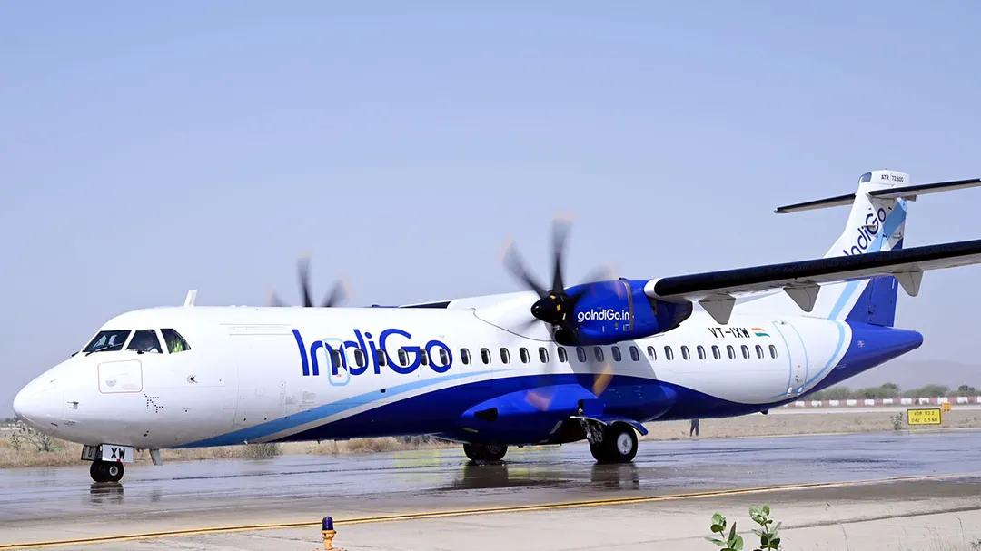 indigo