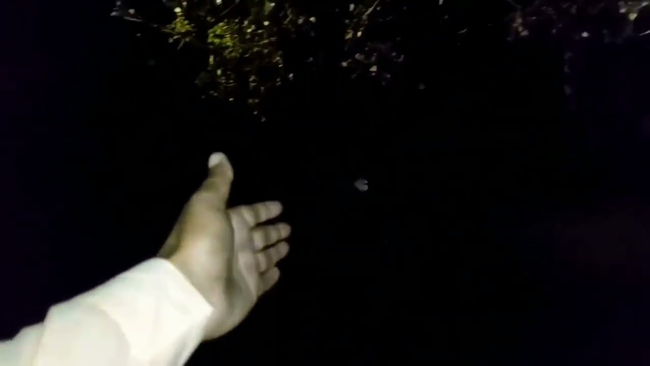 youtube placeholder image